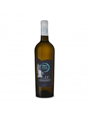 IGP Campania Bianco Punto00